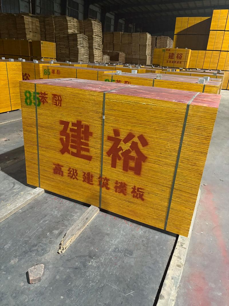水泥价格波动的行业动态解析